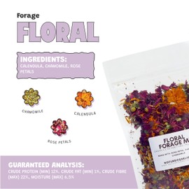 No Furries Delights Forage Mix,100% All Natural Botanical Herb Treat for Rabbit Hamster Guinea Pig Chinchilla Chicken Hermit Crab Gerbil Degu & Other Small Animals (Floral Forage Mix 25g)