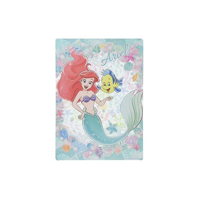 Showa Notebook, Clear Underlayment, Ariel, B5 Size, 771457403