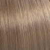 Color Touch Rich Naturals 9/16 light blonde Ash purple 60