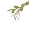 tenn well 2 Rolls Leaf Ribbon, 66 Feet Green Ribbon