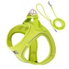 Small Combination Dog Harness and Leash, Beige, Adjustable (Lemon Yellow,
