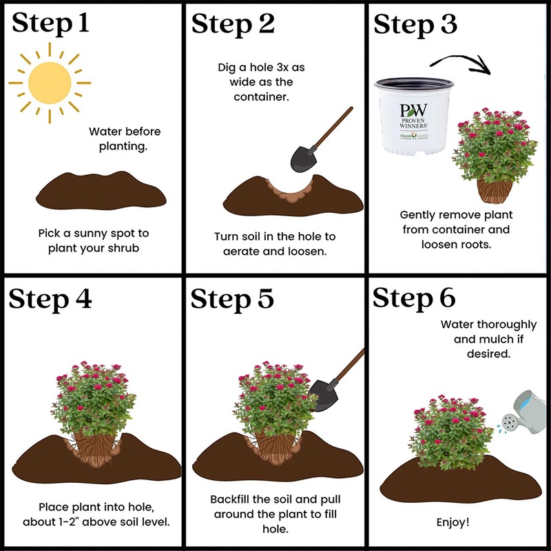 Proven Winners 2 Gal. Double Play Doozie Spirea Shrub