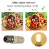 WELESHEI E17 Led Bulb Microwave Oven Light Equivalent 60w Incandescent