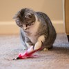 Youngever 6 Pieces Cat Toys Teasing Feather Toy, Retractable Wand