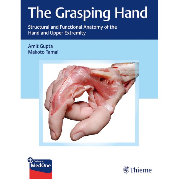 The Grasping Hand: Structural and Functional Anatomy of the Hand