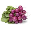 Purple Plum Radish Seeds - 4 g Packet ~300 Seeds - Heirloom Garden Seeds, Non-GMO - Vegetable Gardening and Microgreens