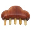 2Pcs Meridians Comb 5 Tooth Portable Sandalwood Rosewood for Head