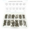 Stainless Steel Phillips Oval Head Sheet Metal Screw Kit -