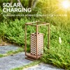 Mineup Pack of 6 Solar Lights Replacement Parts, 8 cm