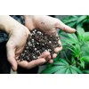 Gardenera Premium HAPPY PLANT Organic Potting Soil Mix - High-Yield