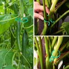 SANHIGHEND Plastic Plant Clips, Make Your Plants Tidy and Beautiful