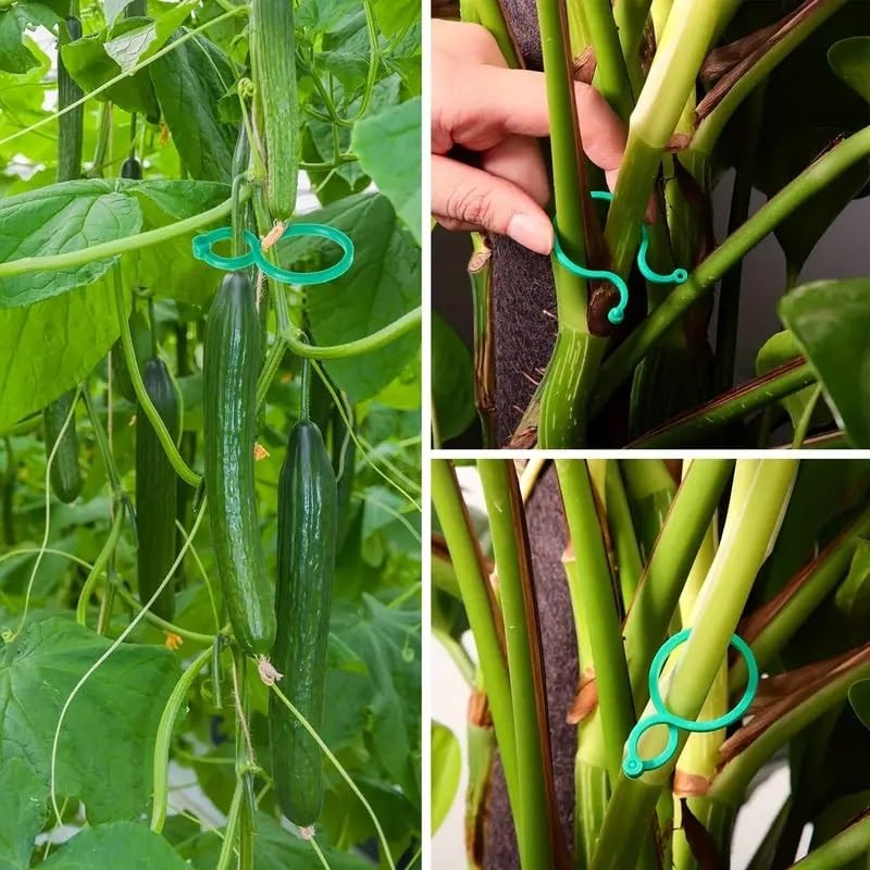 SANHIGHEND Plastic Plant Clips, Make Your Plants Tidy and Beautiful