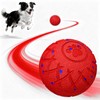 hipibbo Interactive Dog Toys Dog Ball, Durable Motion Pet Toys