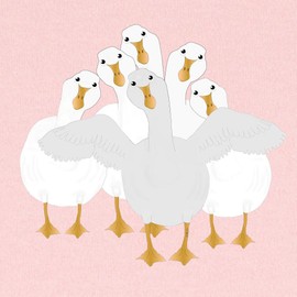 CafePress Goose Who Baby Blanket, Super Soft Newborn Swaddle