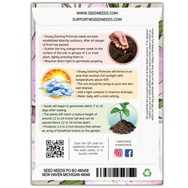 Seed Needs, Showy Evening Primrose Seeds - 6,000 Seeds for Planting Oenothera speciosa - Perennial Pink Blooms to Attract Butterflies/Pollinators (5 Packs)