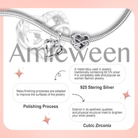 Amieween 925 Sterling Silver Charm for Women Bracelets Necklace Infinity Love Heart Dangle Charm 5A Cubic Zirconia Valentine DayCharms for Women 2 pack