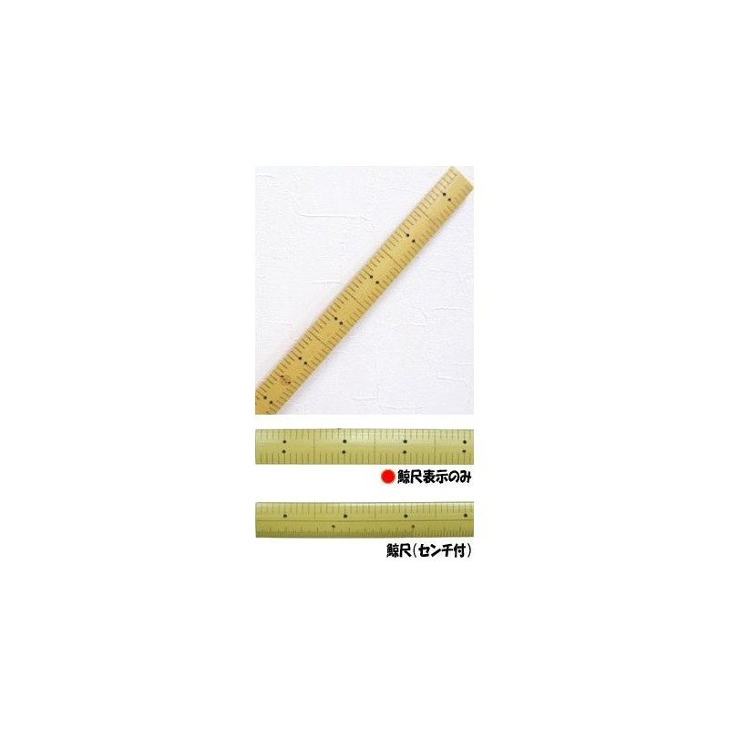 [Adam Measurement] Ace Bamboo The Whale 1 No. 287