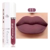 Set 10 Labiales Líquidos Mate Cmaadu Larga Duración 01