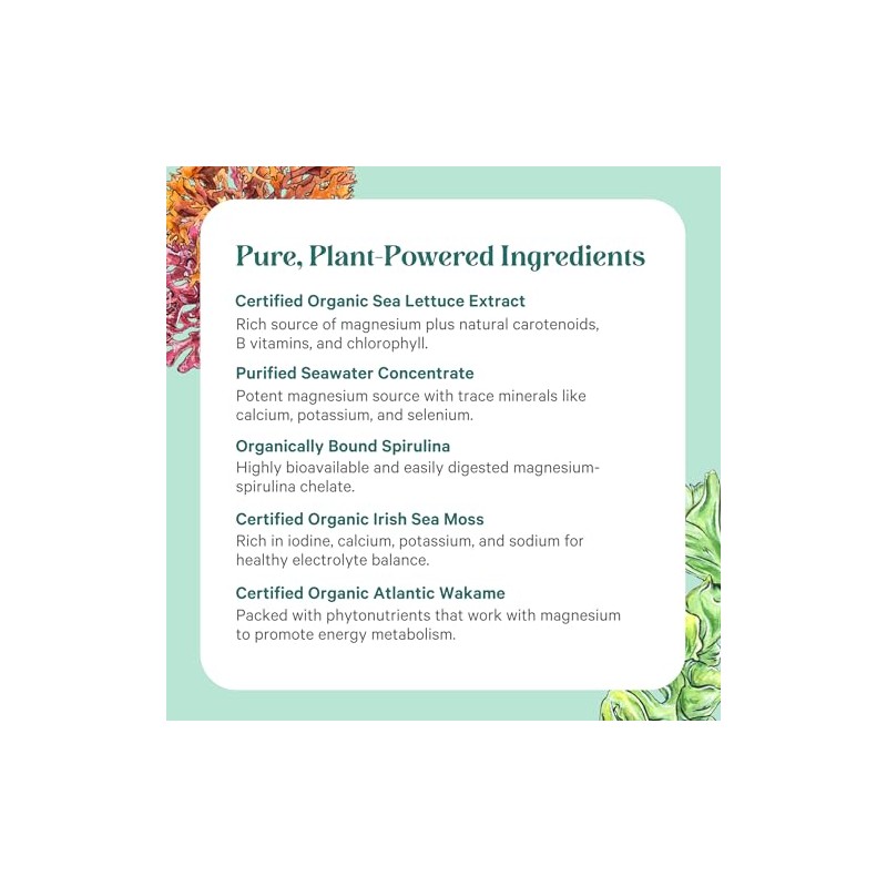 Pure Synergy Vital Ocean Magnesium for Energy & Sleep 60