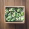 2 Sprouted Chayote Squash Mirliton Live Plant Ready To Plant