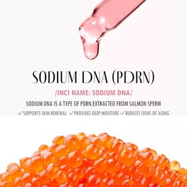 KAHI Wrinkle Bounce Multi Balm – EDICIÓN RECARGABLE | Bálsamo labial hidratante todo en uno, crema para ojos, crema para el cuello, base de maquillaje