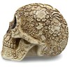 READAEER Life-Size Skeleton Replica Realistic Human Skull Head Bone Model