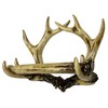 Deer Antler Wall Mounted Toilet Paper Roll Holder – Rustic