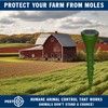 2 Pack PESTEZE Reusable Solar Mole, Snake, Gopher, Vole, Chipmunk,
