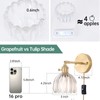 Shenmoyl Plug in Wall Sconce, Transparent Tulip Glass Lampshade Wall