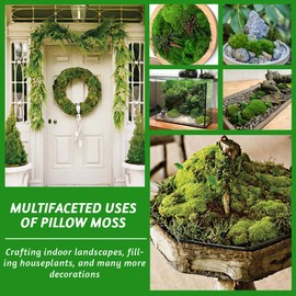 TCYPUHL 1 sq.ft, Green Pillow Moss Bulk Cushion Moss Preserved Pillow Bun Moss Preserved Moss Wall Art Natural Moss Decorative
