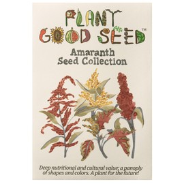 Plant Good Seed Organic Amaranth Seed Collection Seeds for Planting: Heirloom Grains, Edible Leaves, or Cut Flowers, Red Callalloo, Chinese Giant, Hopi Red Dye - Three Packets (600 Seeds per Packet)