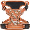 HEELE Dog Harness No Pull Release on Neck Reflective Adjustable