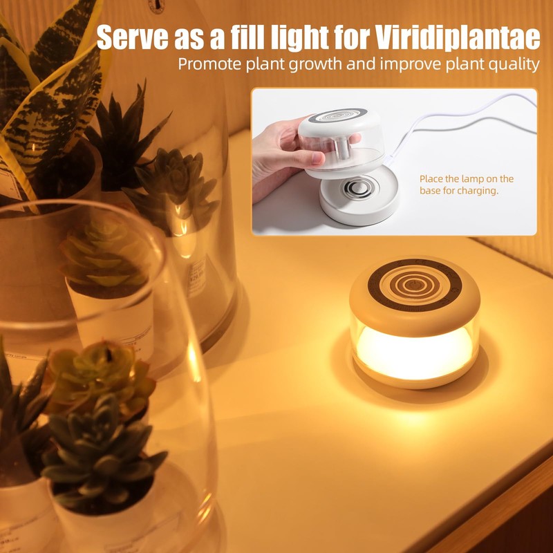 oneleaf Atmosphere Light Portable LED Night Light, Candle lamp, Three