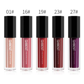 Mist Matte Nude Velvet Waterproof Long Lasting Non-Stick Cup Liquid 5 Color Lip Gloss Set