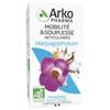 Arkopharma Arkocaps Harpagophytum Organic 45 Capsules