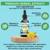Why Not Natural Organic Mullein Drops for Lungs, USDA Organic,