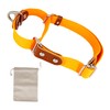 Martingale Collar Dog Choke Collar Anti Pull Poly Cotton and