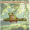 Play as Pro Snake Climbing Stick for Ball Python &