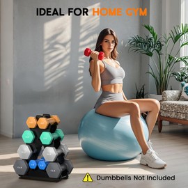 4-Tier Dumbbell Rack Stand Only | Space-Saving Weight Rack for Home Gym, Hand Weight Rack Dumbbell Storage for Dumbbell Set (3-15 LB), Durable Metal Stand with Easy Assembly (Dumbell not Included)