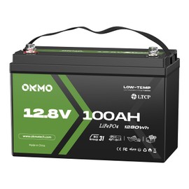 12V 100Ah LiFePO4 Lithium Battery, Group 31, Built-in 100A BMS, Low-Temp Protection, 15000+ Deep Cycles, Lightweight Rechargeable Battery for RV, Solar, Marine, Trolling Motor, Home, Off-Grid