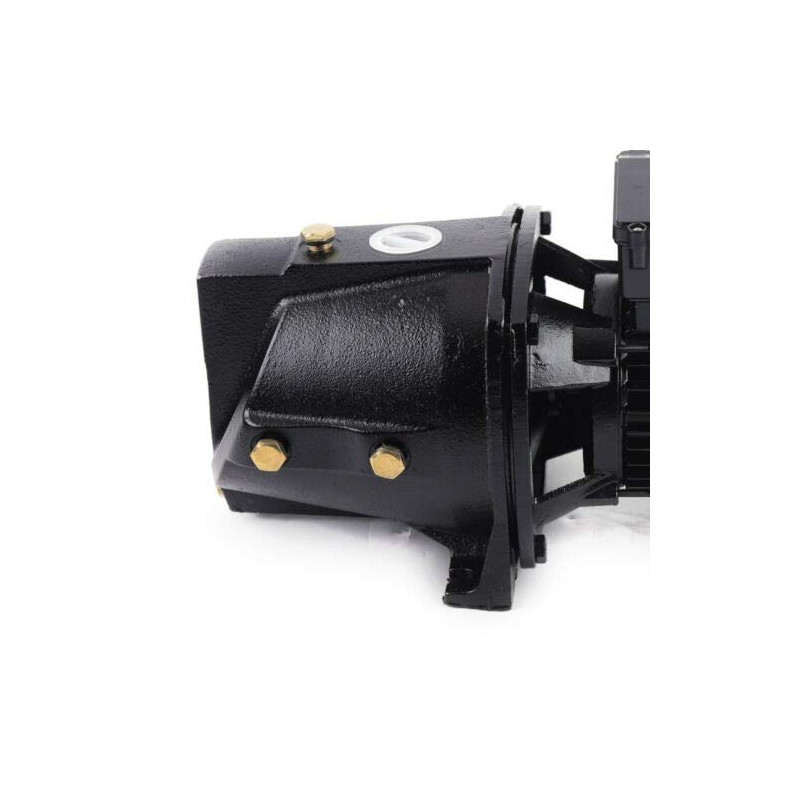 BJTDLLX 1 HP Shallow Well Jet Pump, Heavy Duty Well
