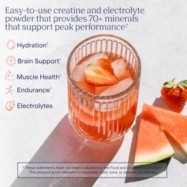 Trace Minerals Creatine + Electrolytes & Mineral Powder for Peak Performance & Optimal Hydration – Supports Brain, Muscles, & Endurance – 5 g Creatine – Tropical Watermelon – 30 Servings