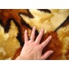 Walk on Me Kids Moose Playmat Rug (5x7 (55" x