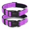 LIEVUIKEN 2 Pack Reflective Dog Collar with Safety Locking Buckle,