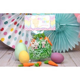 Amanda Creation Some-Bunny Special Easter Bunny Themed Happy Easter Bag Toppers for Party Favor Treat Bags, Set of 20 Bag Toppers With 20 Self-Adhesive Bags Also Included