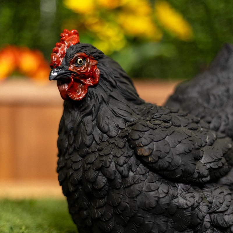 Alpine Corporation WFM100HH-BK Outdoor Rustic Resting Hen Garden Statue, 8"