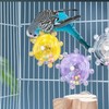 OKONOS Interactive Parrot Foraging Toy Hanging Bird Cage Toy for