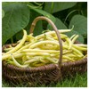 Everwilde Farms - 1/4 Lb Golden Wax Yellow Bean Seeds