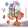 7 Chakras – Chakra Stones – Tree of Life –