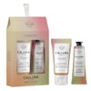 Calluna Botanicals by The Scottish Fine Soaps Company Hand Care
